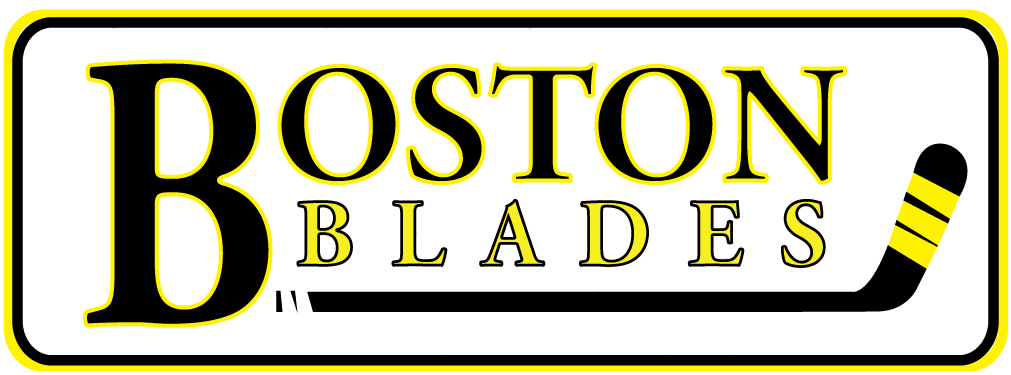 Boston Blades 2010-Pres Primary Logo iron on heat transfer